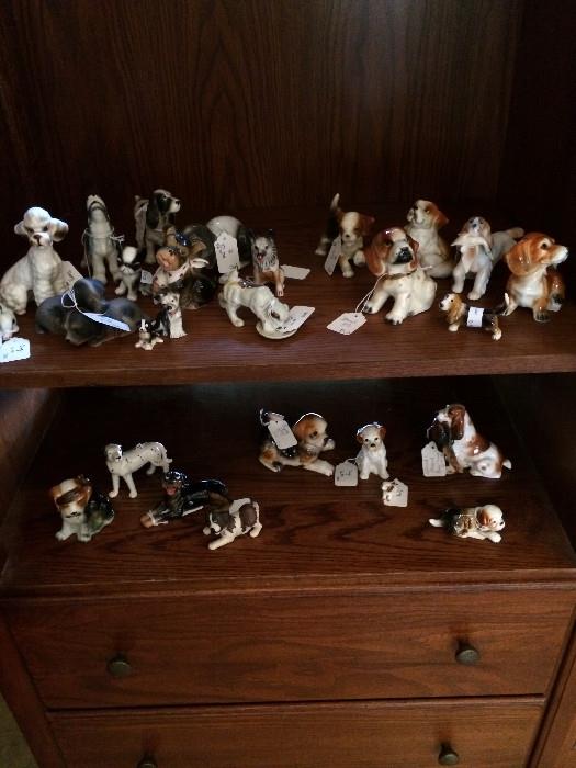                             Large dog collection