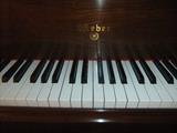 Weber Keyboard, Great condition