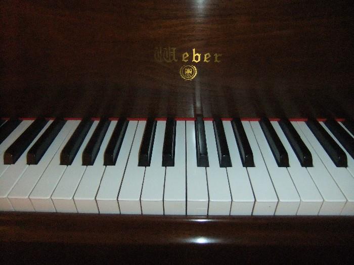 Weber Keyboard, Great condition