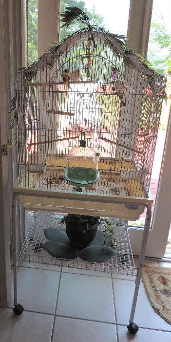 great Bird Cage,  with three singing canaries; two white canaries, and a yellow one! Beautiful!