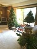 Gorgeous 7.5' artificial lit Christmas tree and lovely 4' lit tree and special ornaments under the tree!