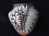Acoma pottery