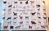Autographed Cat Breed Poster by Phyllis Sofia