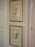 2 Framed and Matted Bird Prints