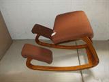 Ergonomic Computer Chair (Great on the Back)