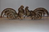 Fighting Cocks Roosters
Antique 500 Silver