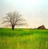 Print by Duane Armstrong, born 1938, California