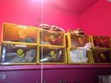 Women's Shoes