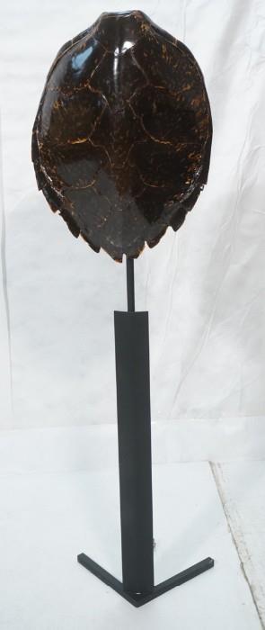 Lot 76  -  Tortoise Shell Floor Lamp.  Shell mounted on black iron frame.  Large shell.-- Dimensions:  H: 67.25 inches: W: 19 inches: D: 18 inches --- 