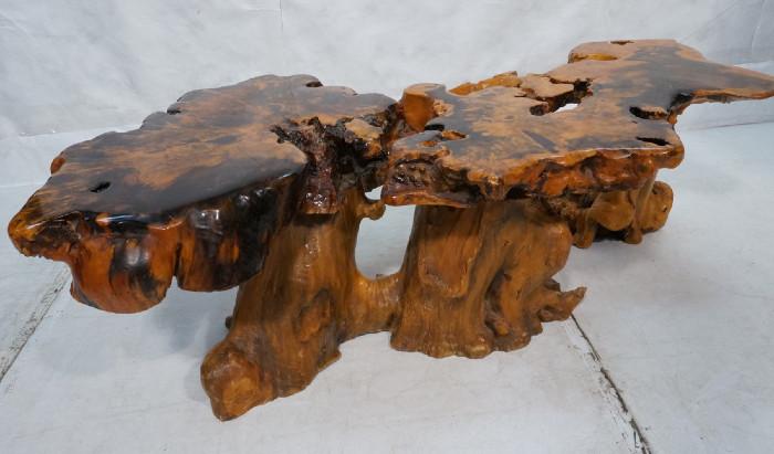 Lot 351  -  Large Freeform Root Table.  High polish top.  Burl Base.-- Dimensions:  H: 17 inches: W: 65 inches: D: 35 inches --- 