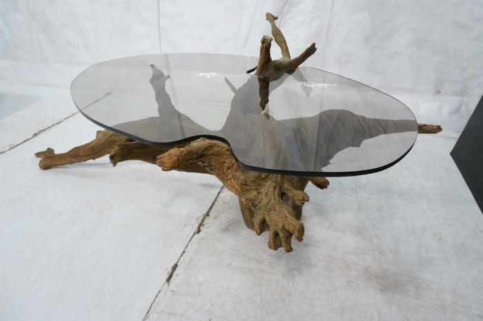 Lot 590  -  Large Driftwood Coffee Table. Shaped Smoked Lucite Top fits around driftwood. 1/2" thick top. -- Dimensions:  H: 29 inches: W: 69 inches: D: 44 inches --- 