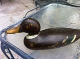 1 of 4 decoys.  Two are from Mason Decoy Factory (1896-1924).