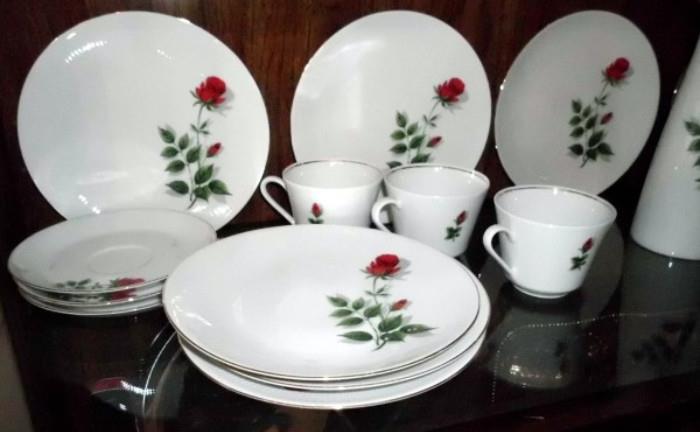 Z & Co Tirschenreuth Bavaria Rose China Set  