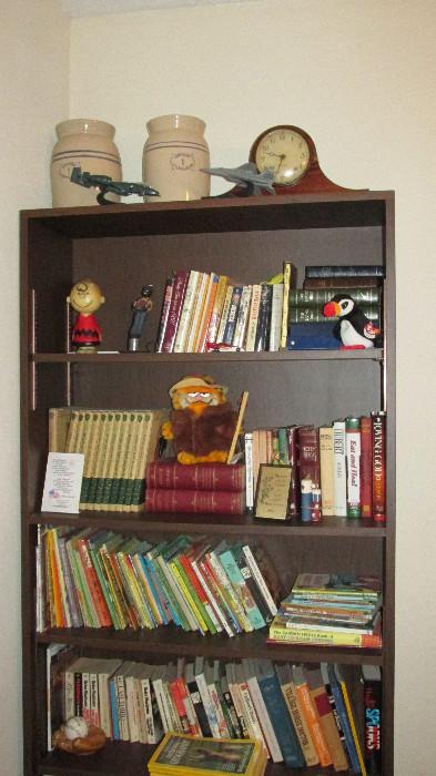 Bookcase and Children's Books