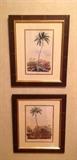 Two Coordinating Palm Tree Prints