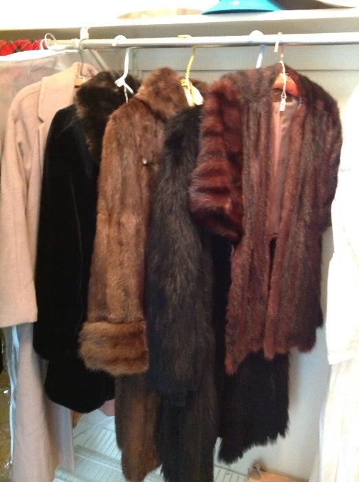 Women's fur coats