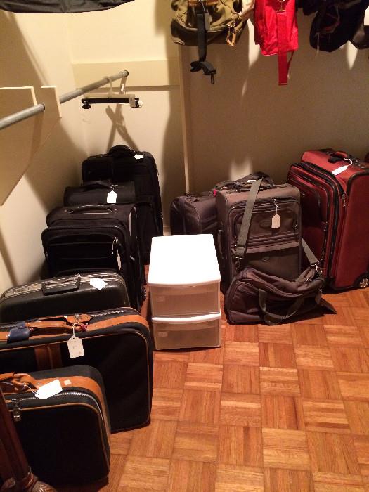                 Some of the many pieces of luggage