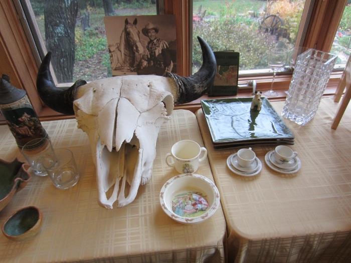Huge bison skull