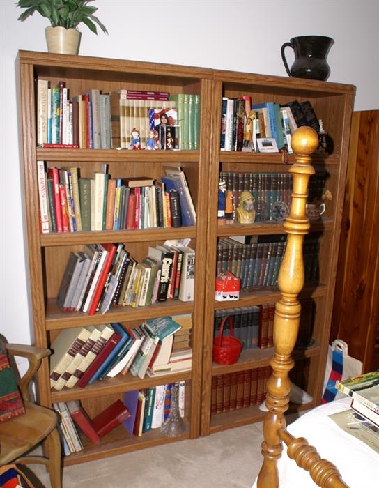 Vintage Books & Wood Bookcase