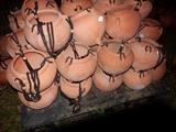 Hanging Pots