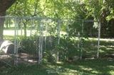 Dog kennel chain fencing and kennels waiting to be dismantled by you!