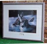 Vivi Crandall "Night Watch", 1985, #576/760