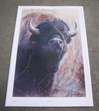 Unframed Vivi Crandall "Bull Rush", 1986, #560/760