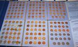 Collection of Lincoln cents