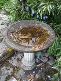 BIRD BATH