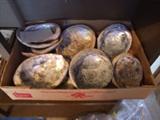 ASSORTED ABALONE SHELLS