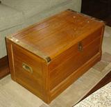 Oak trunk