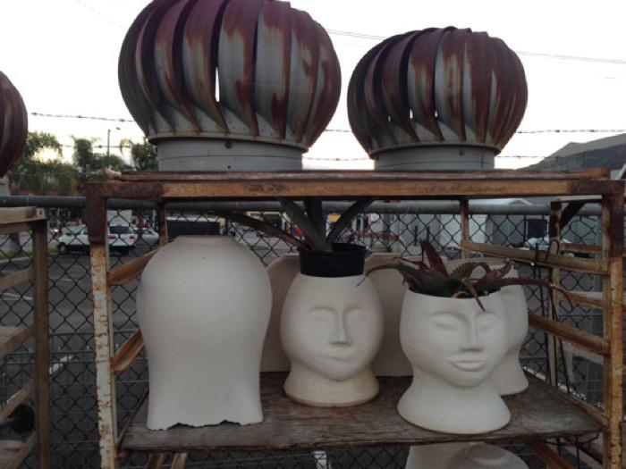 Whirly bird and Face Planters