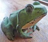 Cast Iron Frog--Best Frog Ever!