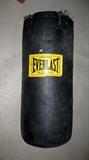Everlast boxing bag