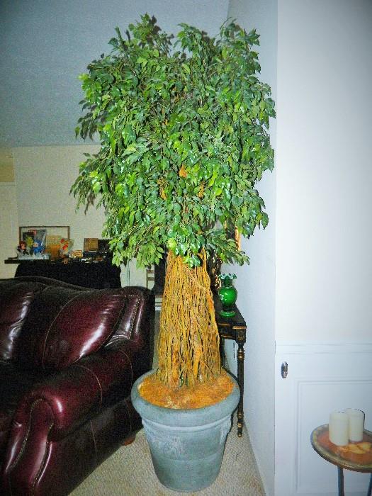 Oversized Silk Tree