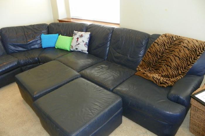 Emerson Leather Sectional