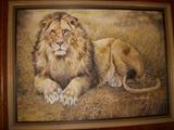 Oil on canvas of a lion by Michigan artist, Bonnie Marris. This was done early in her career according to the estate trustees. It is a large canvas, sight size is 35.75" x 49.5"