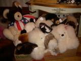 Stuffed animals....all are mink