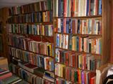 About half of the shelving full of books.  We have LOTS of books