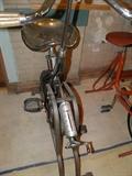 Antique Excercycle