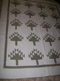 EARLY QUILT " PINE TREE"