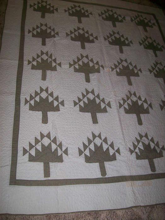 EARLY QUILT " PINE TREE"