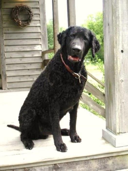 JAKE SAYS "HELLO" TO EVERYONE.