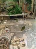   Great selection of dishes & crystal serving pieces