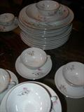 Rose Pattern on White with Silver Band