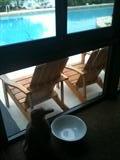 Pair Wooden Adirondack Chairs