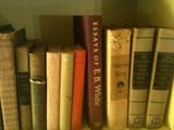 Assorted Antique Books