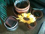 Assorted Terra Cotta Pots