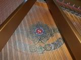 Living Room:  View of SAMICK baby grand sound board.