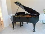Living Room:  View of SAMICK baby grand with lid raised.